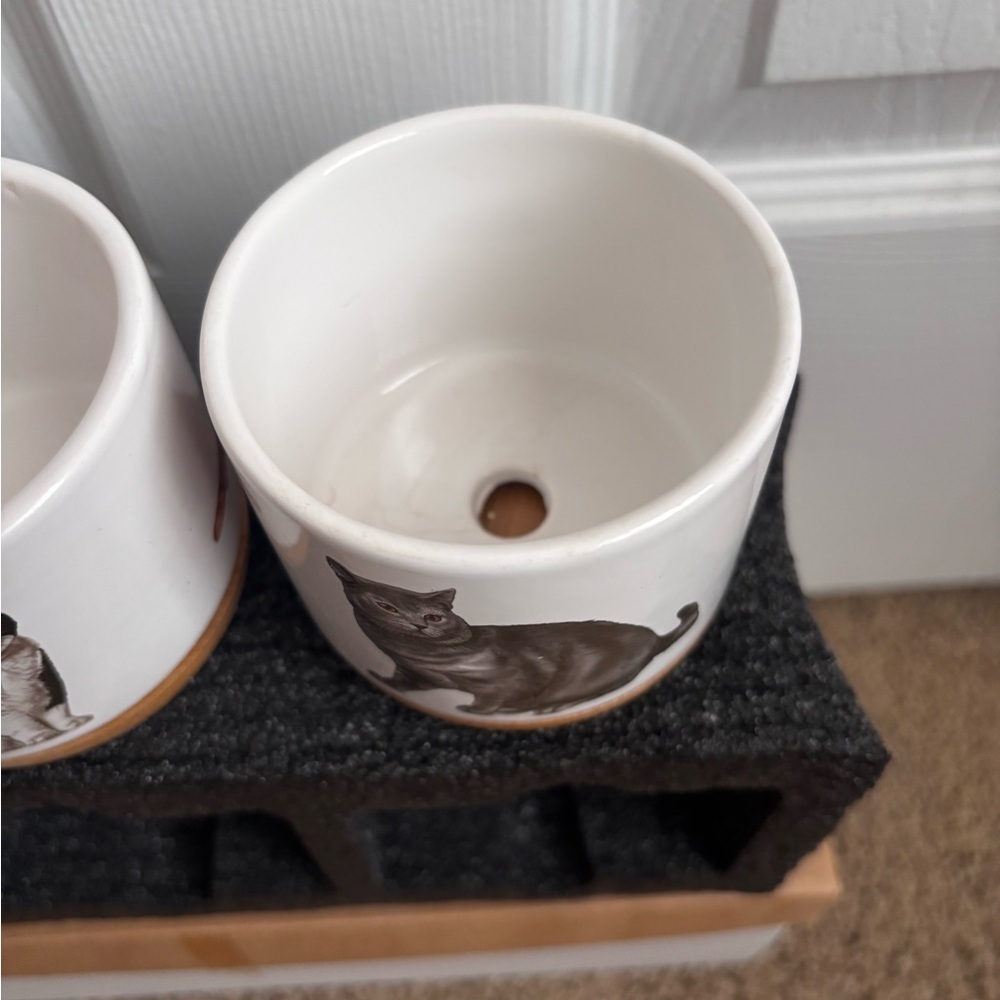 Mini Cat Planters | Set of 3 | NEW - Picture 6 of 7